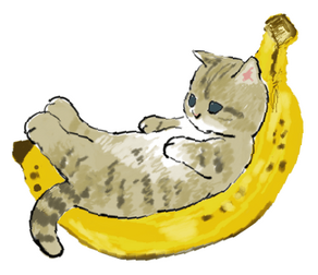 brown cat laying on a banana